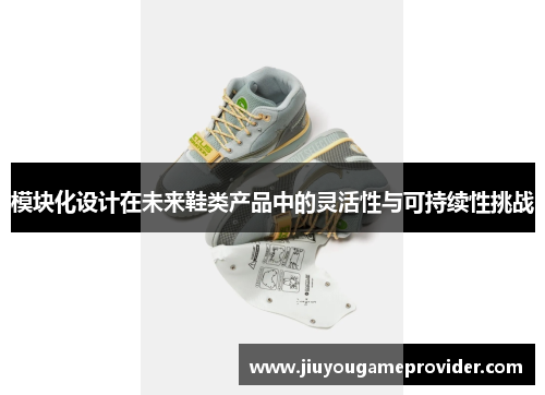 模块化设计在未来鞋类产品中的灵活性与可持续性挑战
